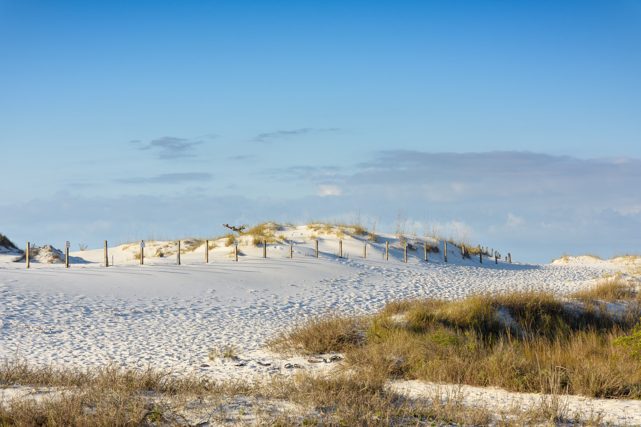 Nikon AF-S Nikkor 24-120mm F4G ED VR sample photo. Dawn on the dunes photography