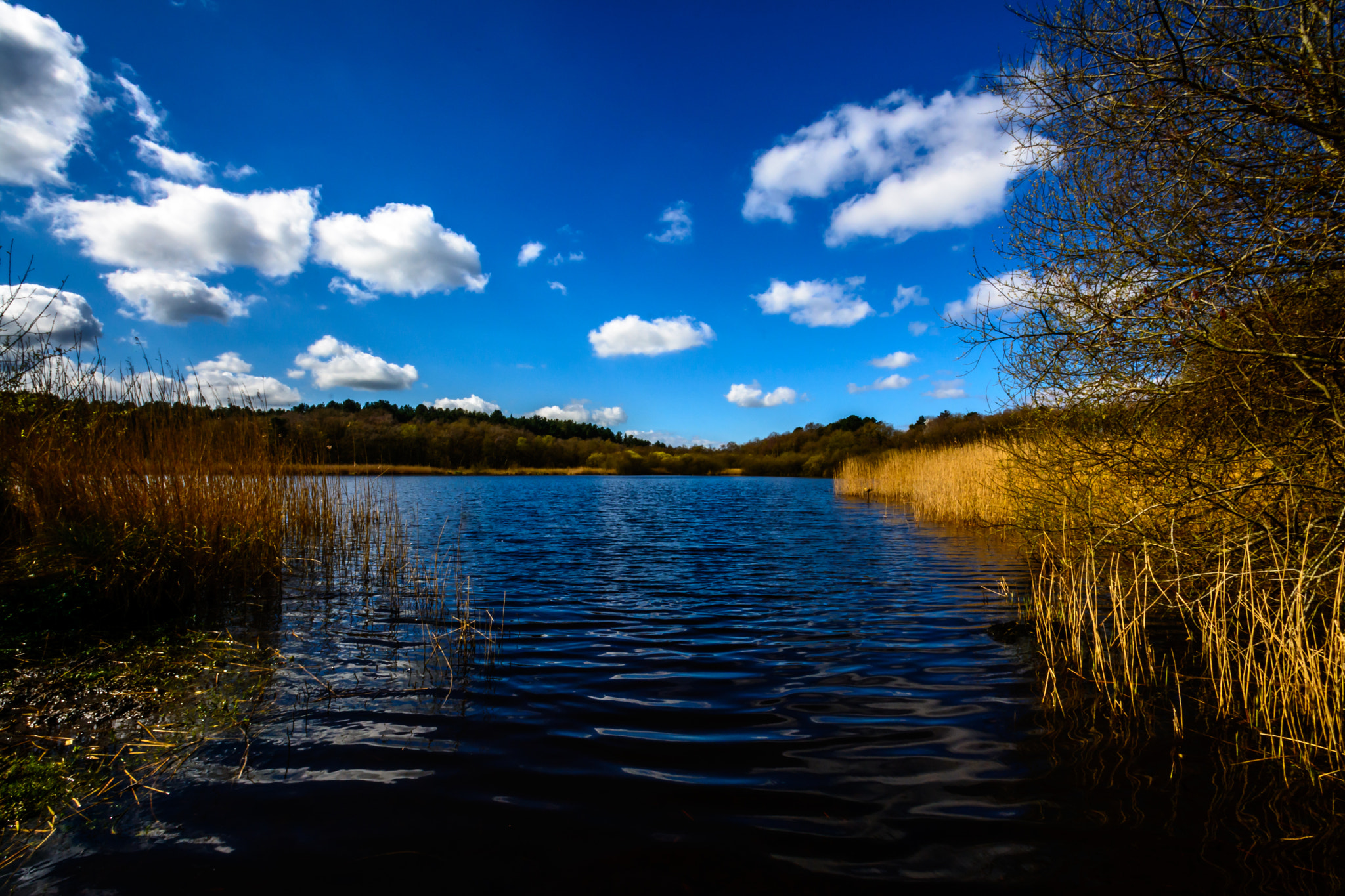 Nikon D7100 sample photo. Out and about today. photography