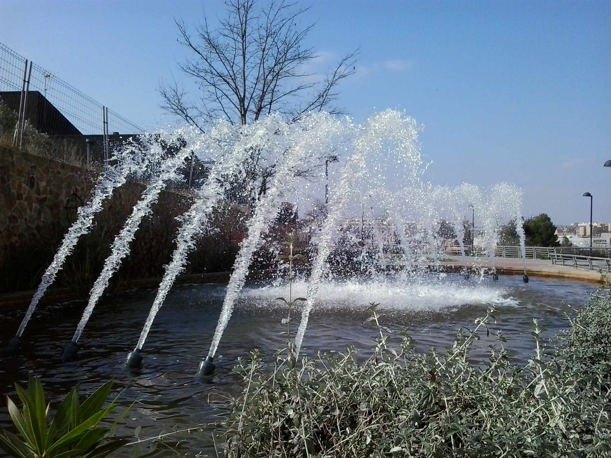 Samsung Galaxy Young sample photo