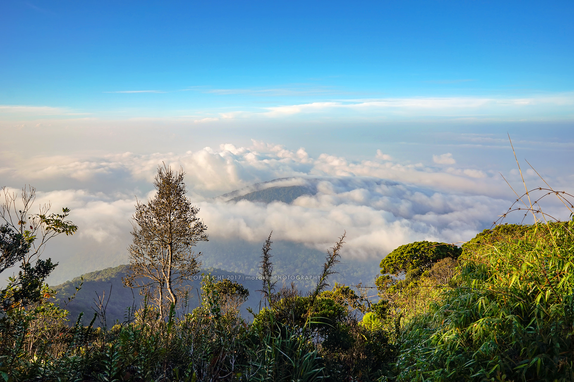 Sony a7 + Sony FE 28mm F2 sample photo. Mount liang photography
