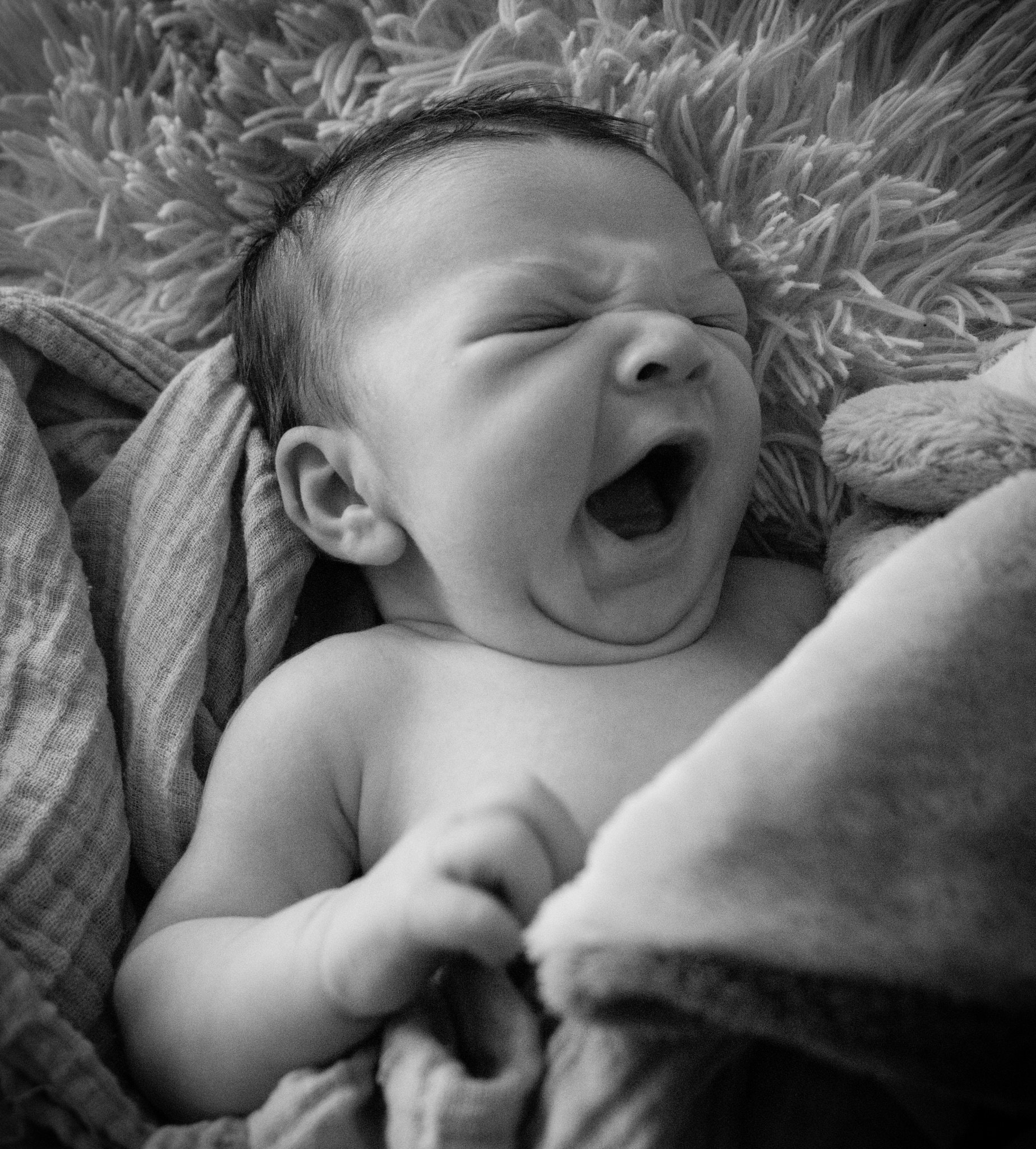 Olympus OM-D E-M5 II sample photo. Fresh baby yawn photography