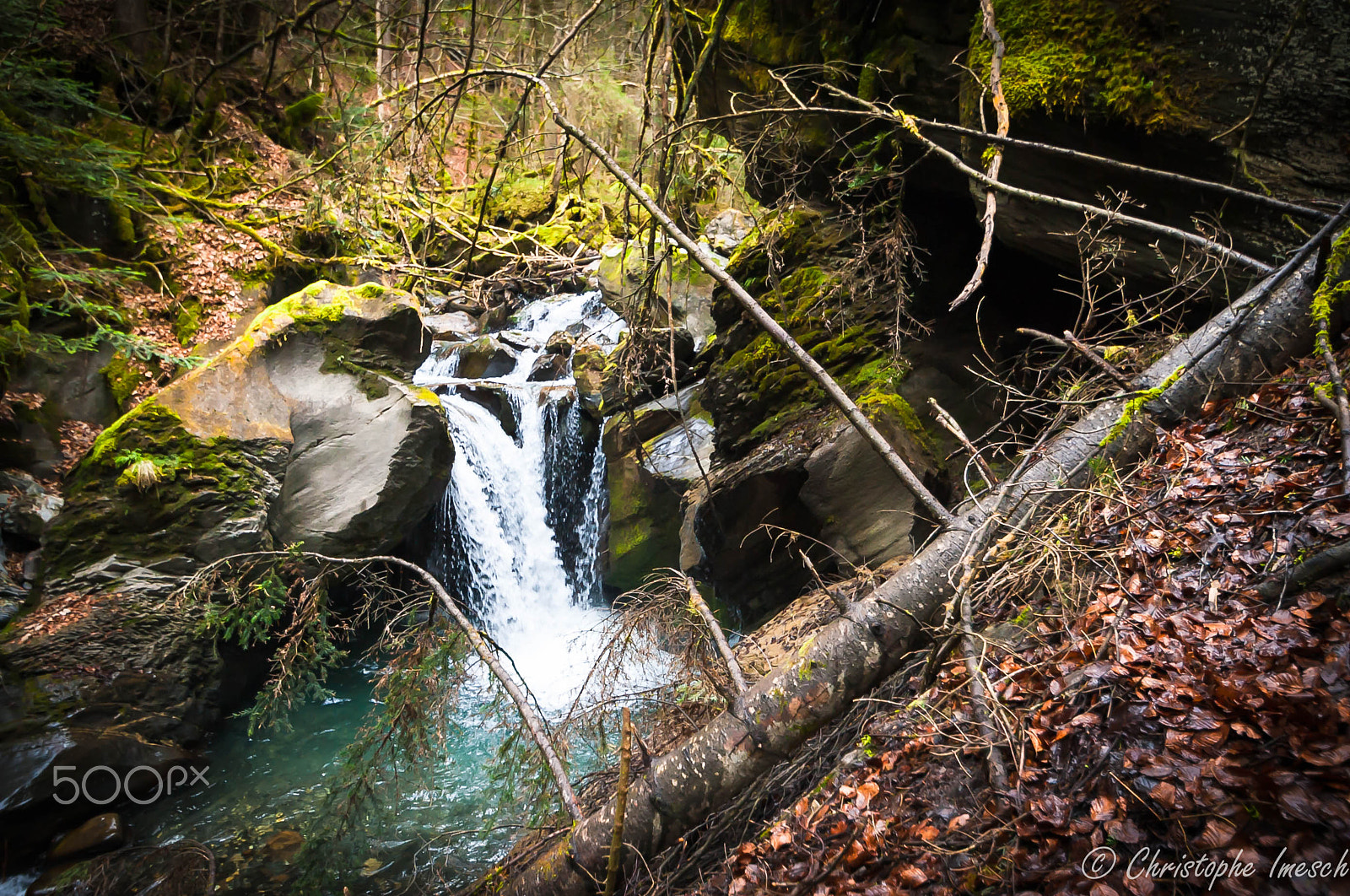 Nikon D700 sample photo. Les gorges de l'avançon photography