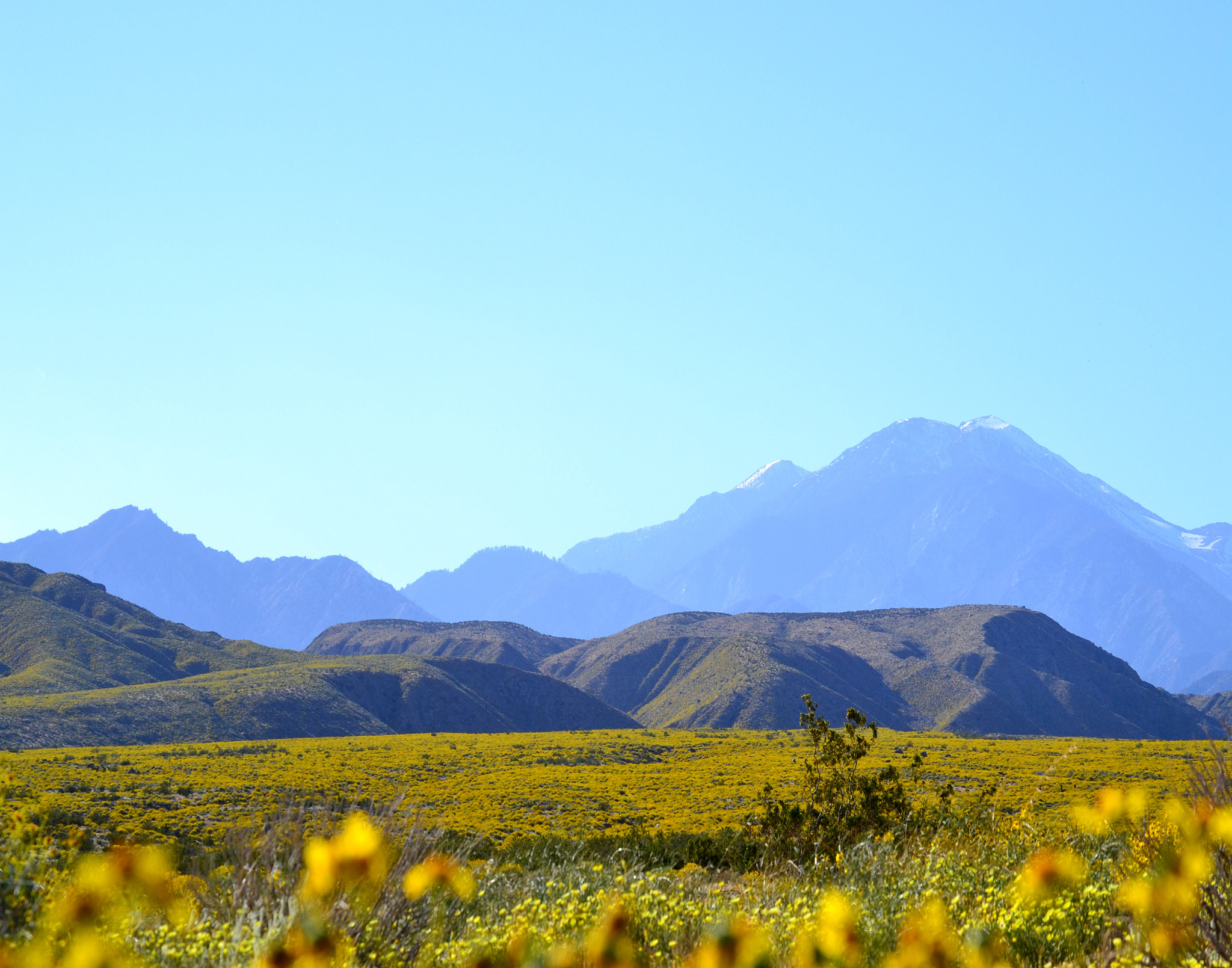 Nikon D3100 sample photo. Mission creek preserve photography