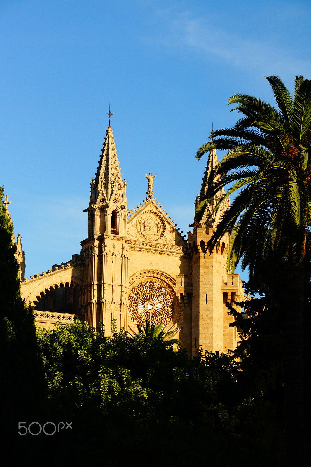 Sony DT 18-135mm F3.5-5.6 SAM sample photo. Palma's cathedral 3 photography