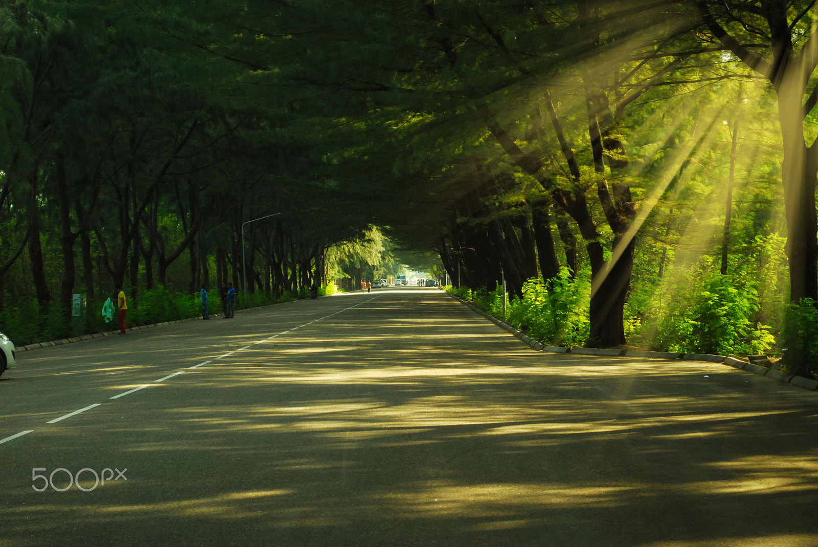 Nikon D40X sample photo. Peacefull road photography