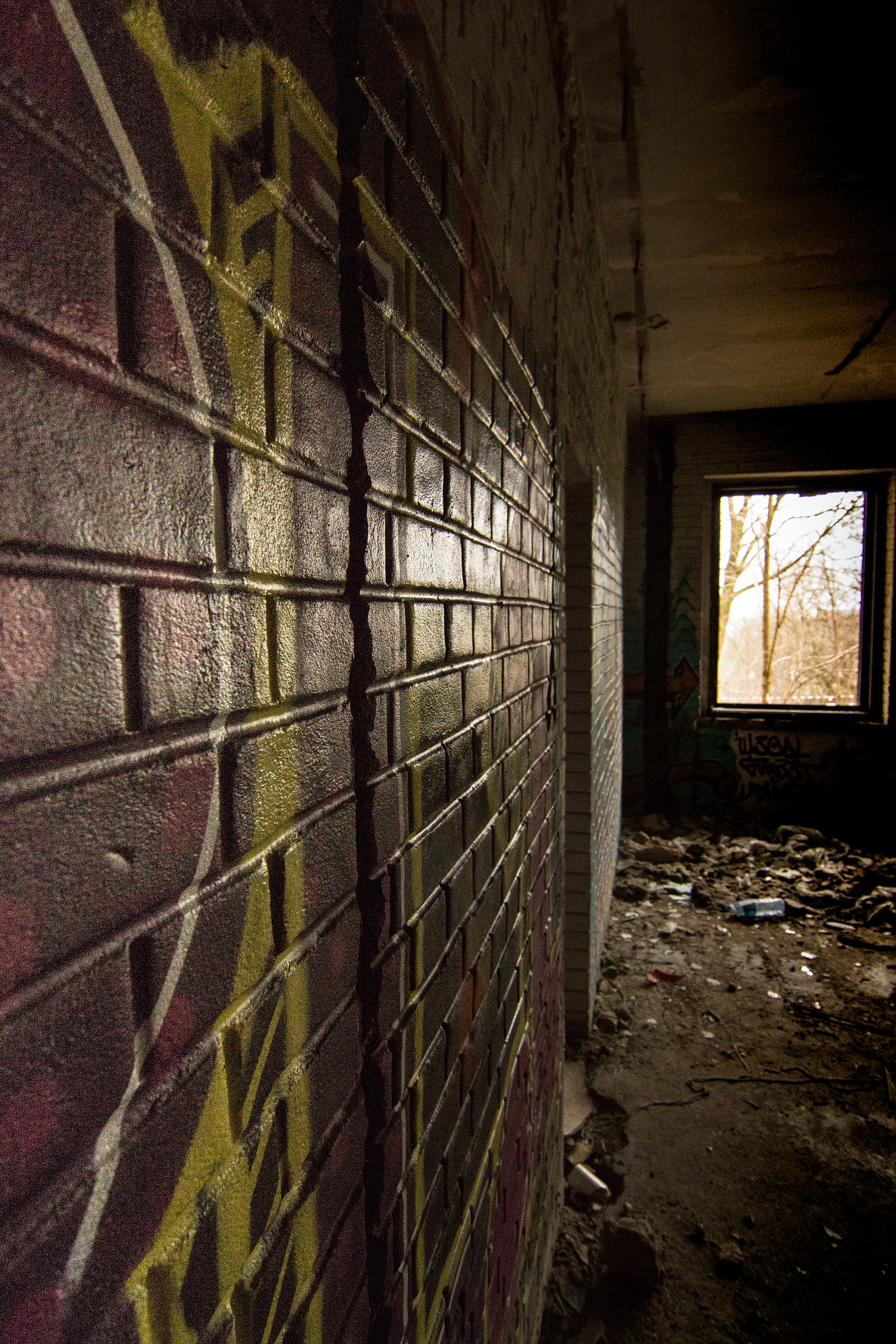 Tokina AT-X Pro 12-24mm F4 (IF) DX sample photo. * * * photography