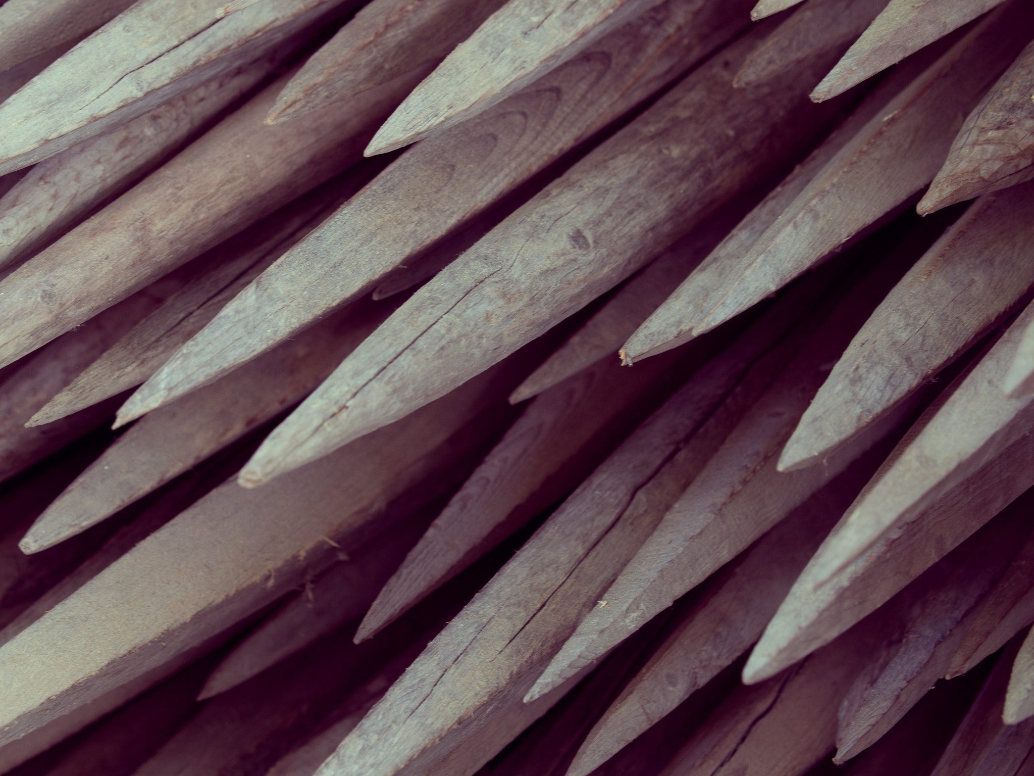 Olympus OM-D E-M5 sample photo. Wooden stakes photography