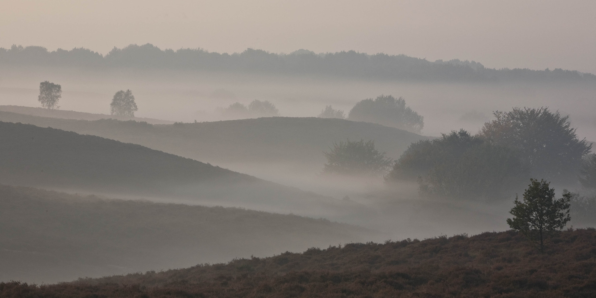 Canon EOS 5D sample photo. Week 2017.14 - early morning at the posbank photography