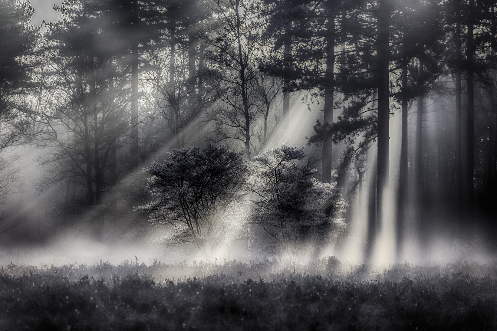 Sigma 70-200mm F2.8 EX DG OS HSM sample photo. Rays of light photography