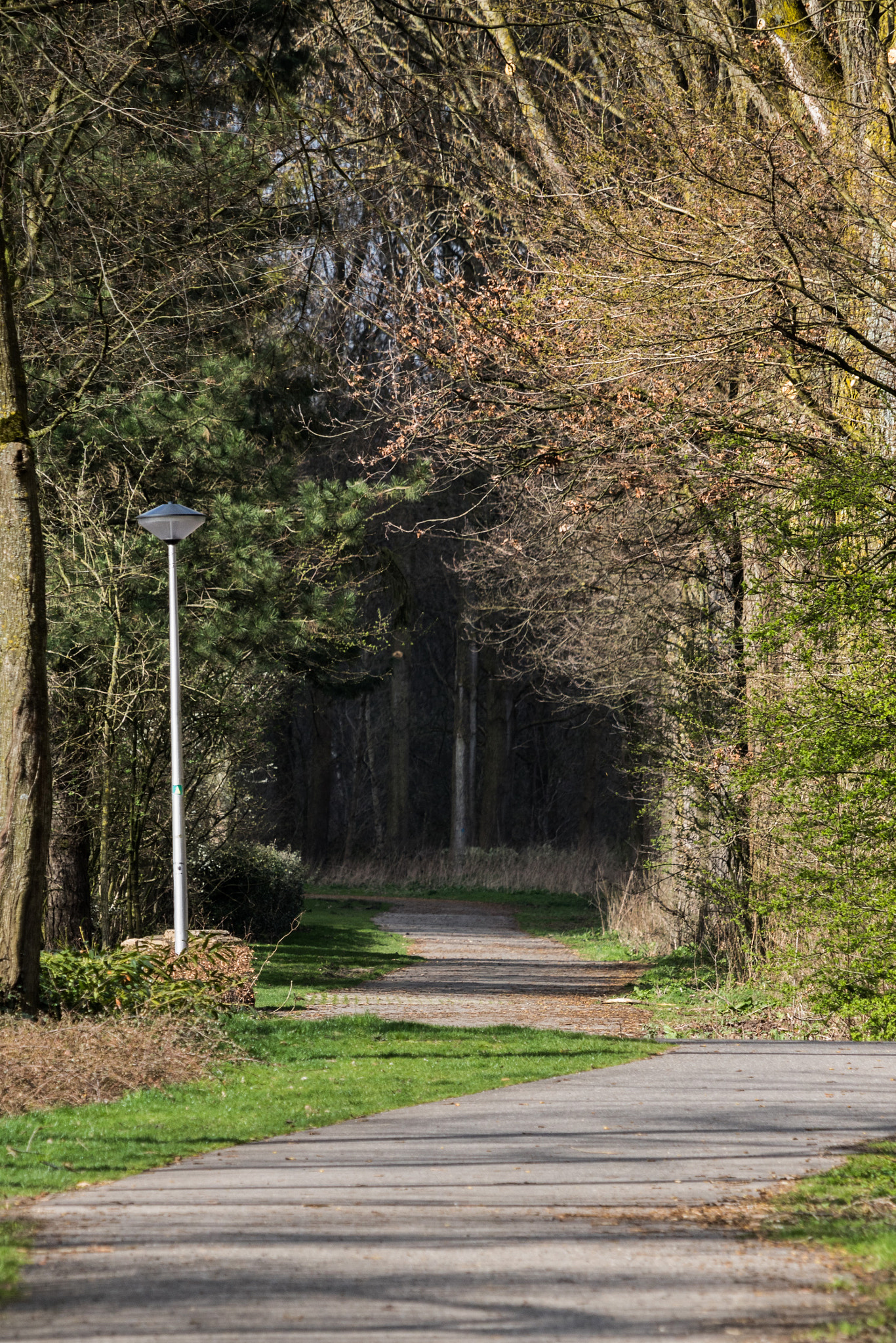 Canon EF-S 55-250mm F4-5.6 IS STM sample photo. The shadow is coming photography