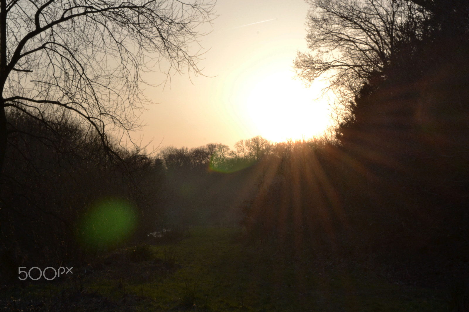 Nikon D3100 sample photo