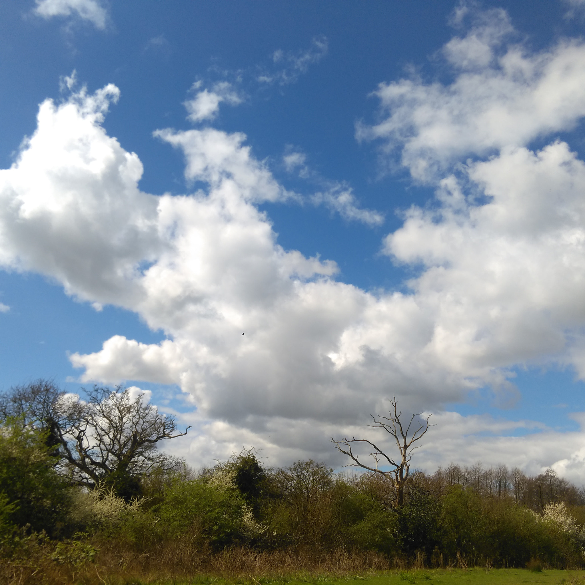 HTC ONE M8S sample photo. Sky over frogmore photography