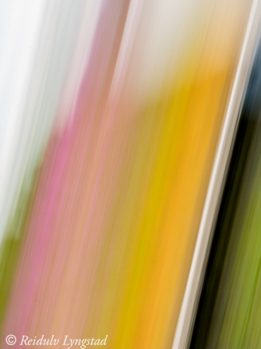 Nikon D7100 sample photo. Abstraction photography