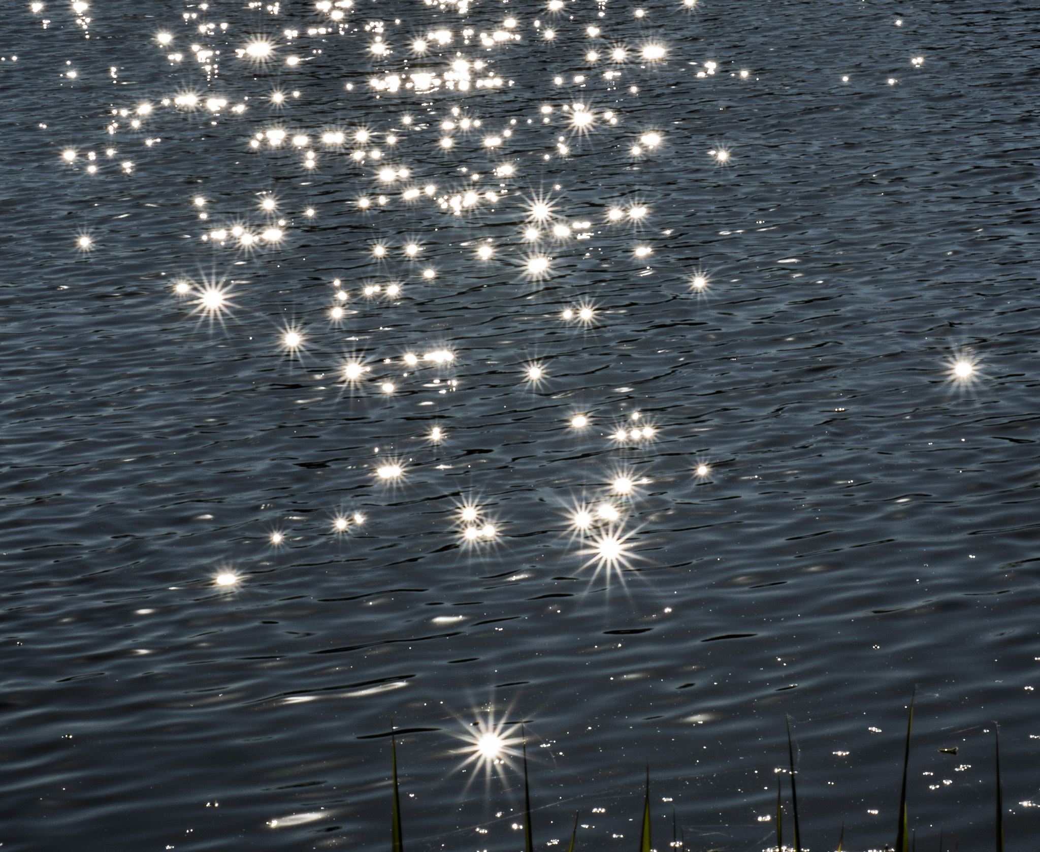 Nikon D3200 sample photo. Many stars photography