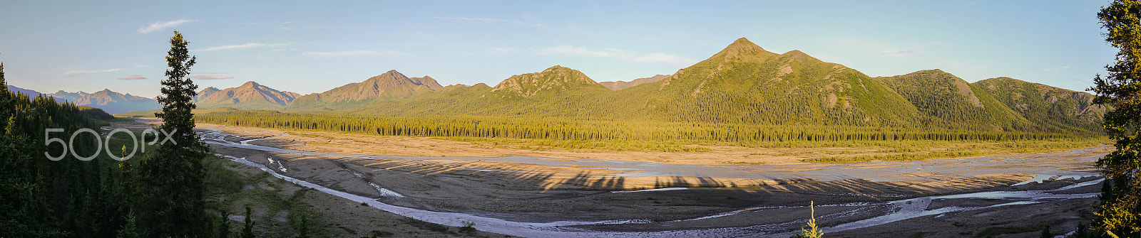 Panasonic Lumix G Vario 7-14mm F4 ASPH sample photo. Denali national park panorama - 03 photography