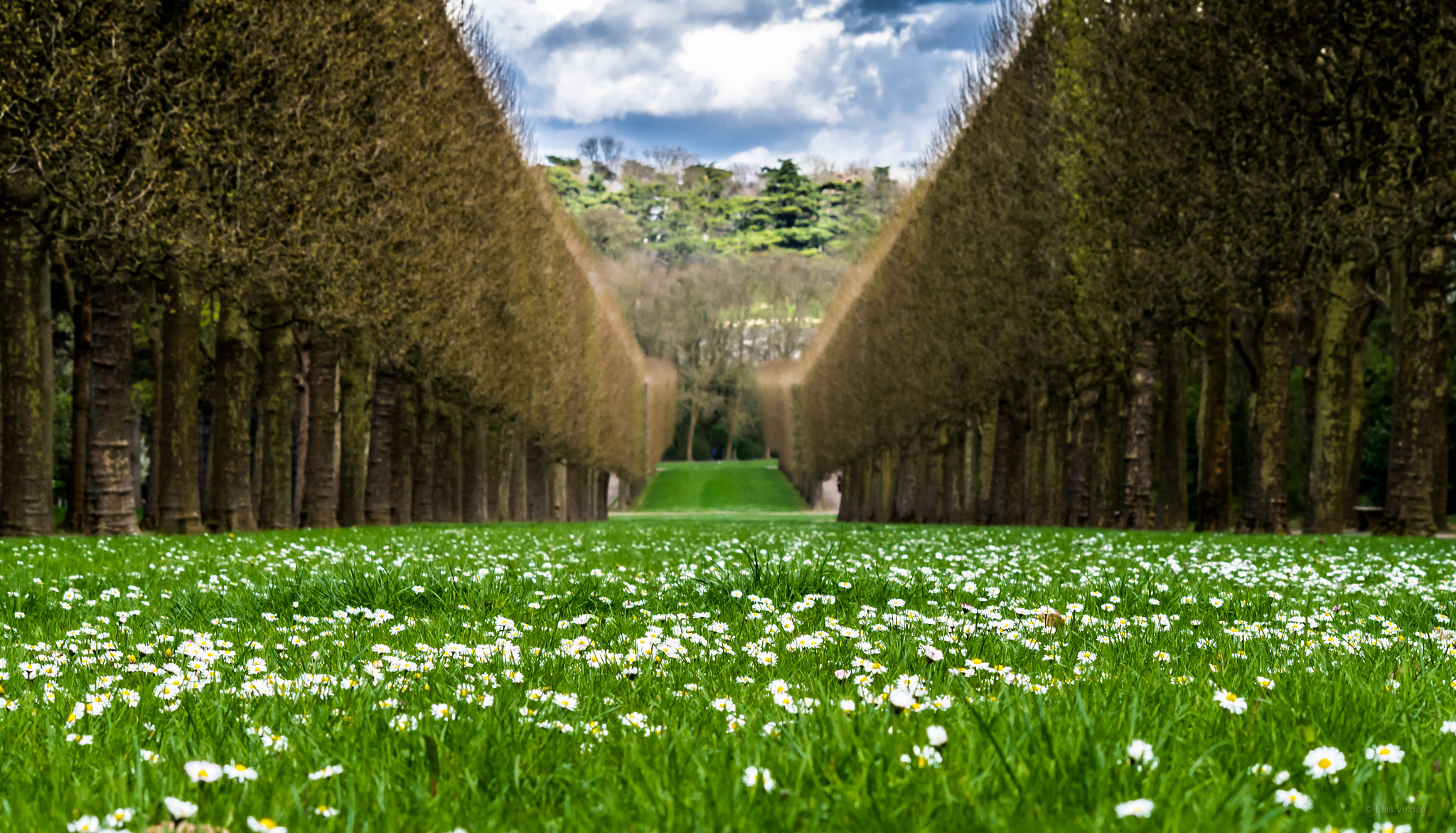 Pentax K-30 sample photo. Parc de sceaux photography