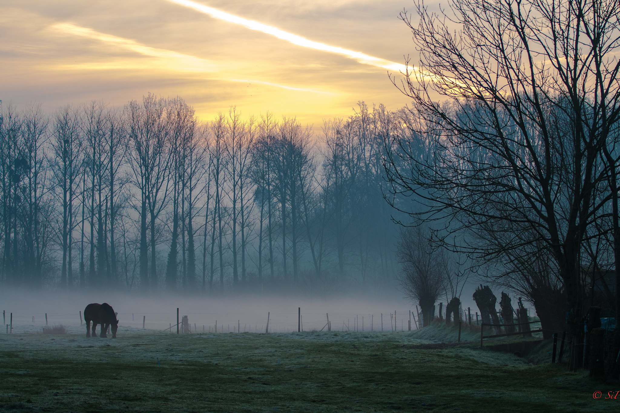 Canon EOS 70D + Canon EF 70-200mm F4L USM sample photo. Morning in sint-pieters-leeuw photography