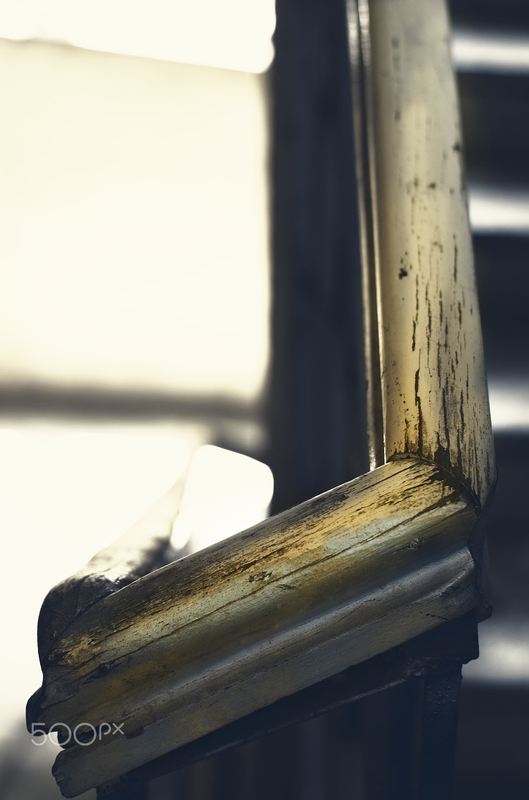 Nikon D5100 + Nikon AF-S Nikkor 50mm F1.8G sample photo. Golden way down photography