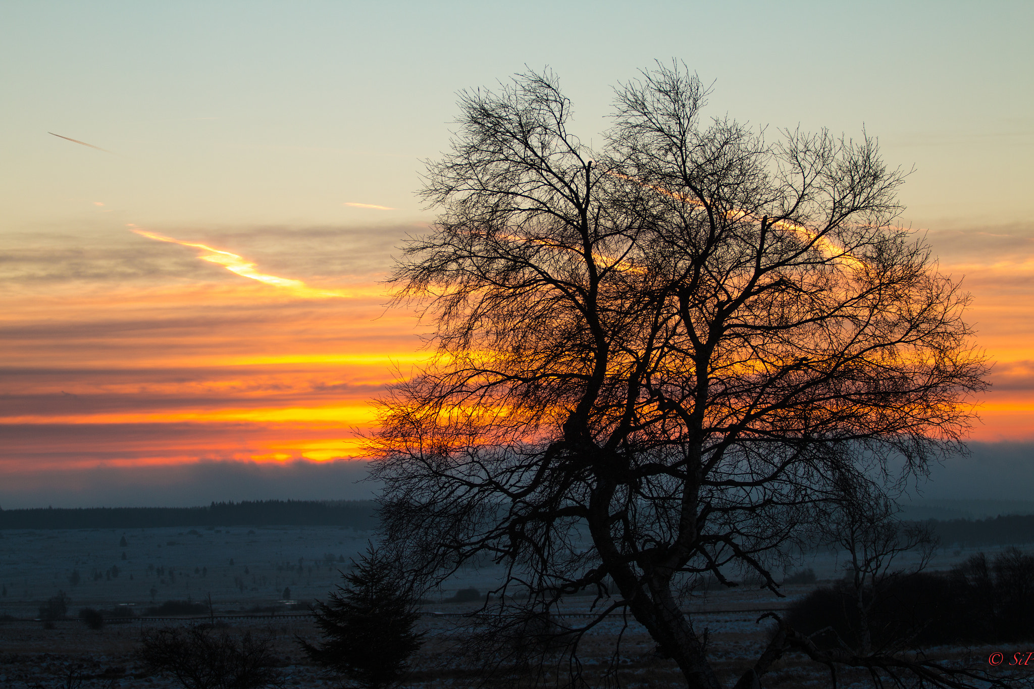 Canon EOS 70D + Canon EF 70-200mm F4L USM sample photo. Fagnes photography