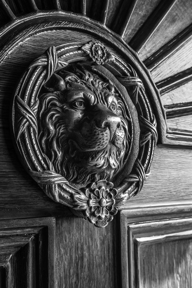 Nikon D3200 sample photo. Door knocker photography