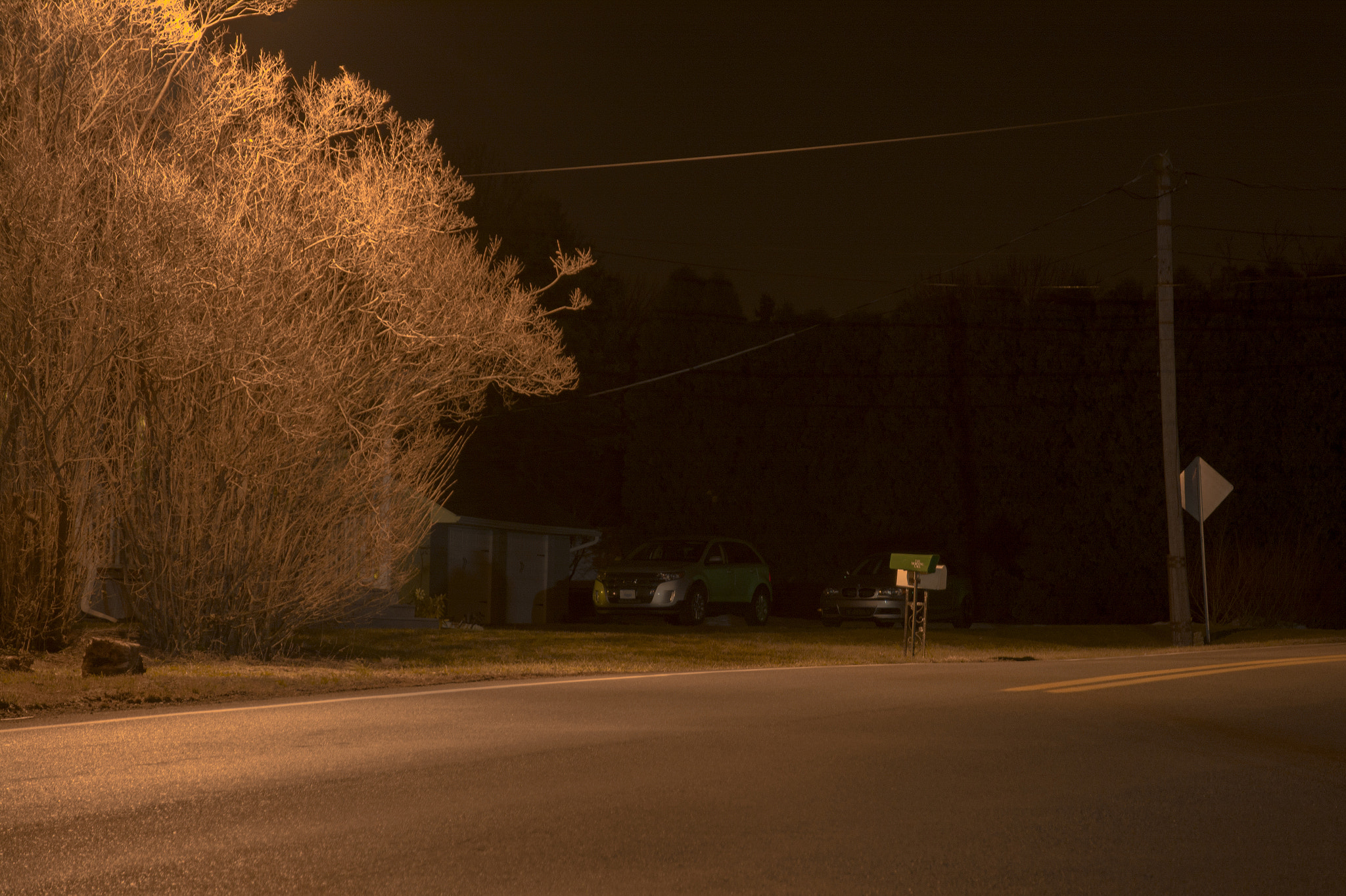 Nikon D7100 sample photo. Golden trees and a mailbox photography