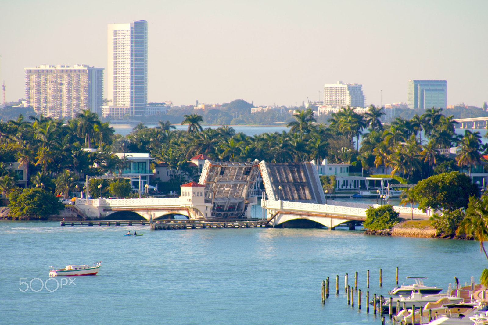 Canon EOS 750D (EOS Rebel T6i / EOS Kiss X8i) + Canon EF 28-200mm F3.5-5.6 USM sample photo. Ivan varela miami photography