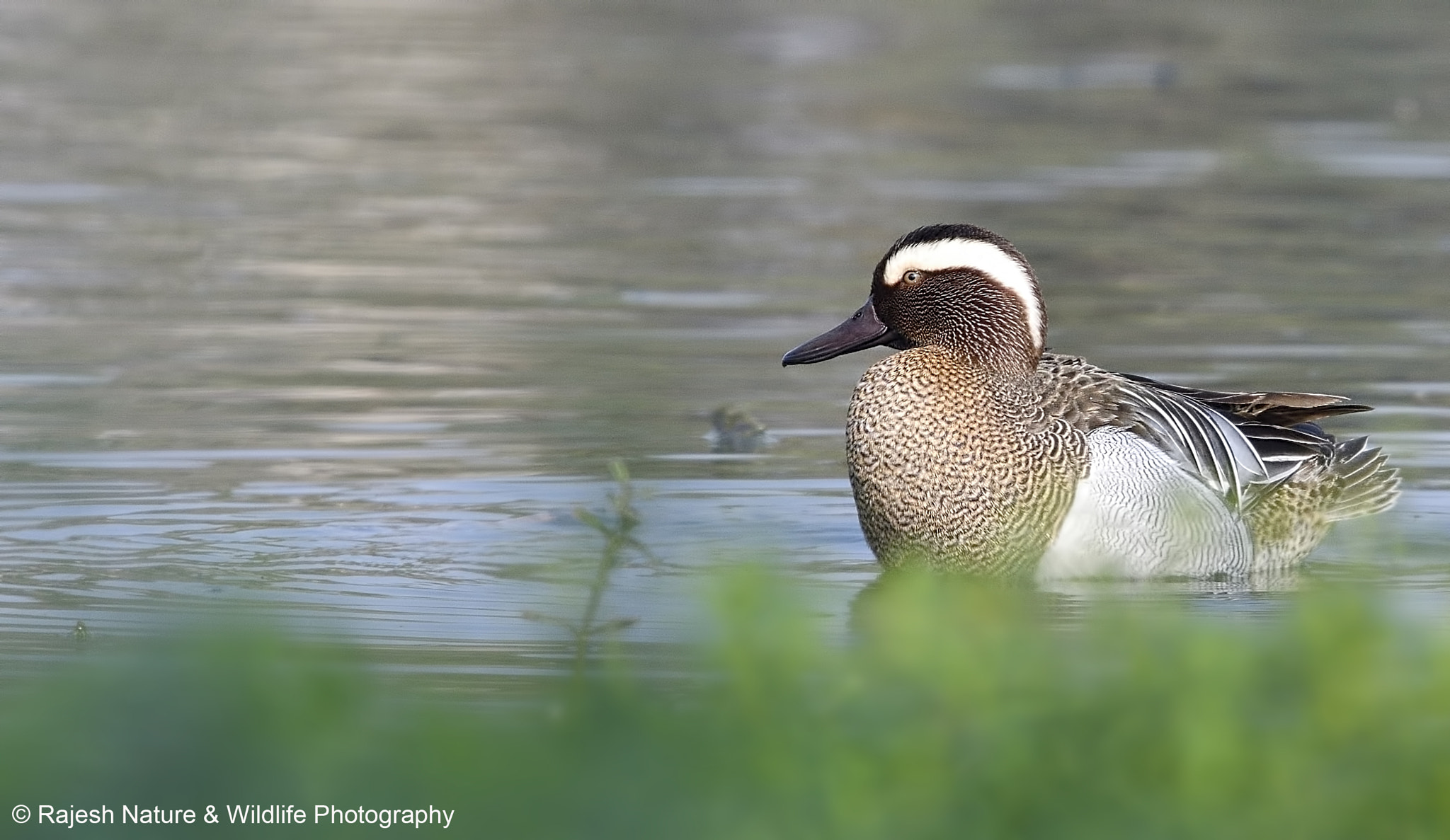 Sigma 150-600mm F5-6.3 DG OS HSM | S sample photo. Ggny photography