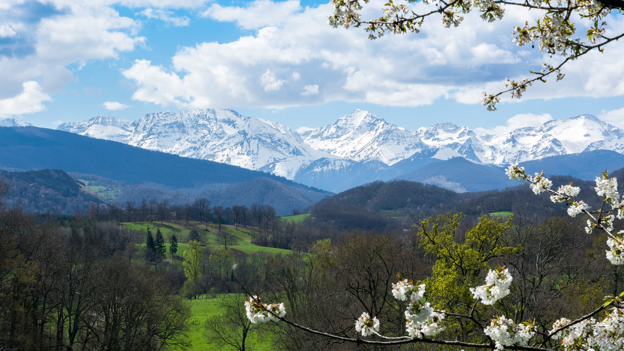Nikon D7100 sample photo. Spring photography