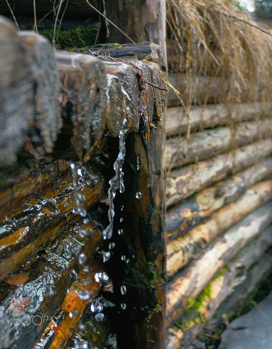 Sony Alpha NEX-6 sample photo. Wood & water photography