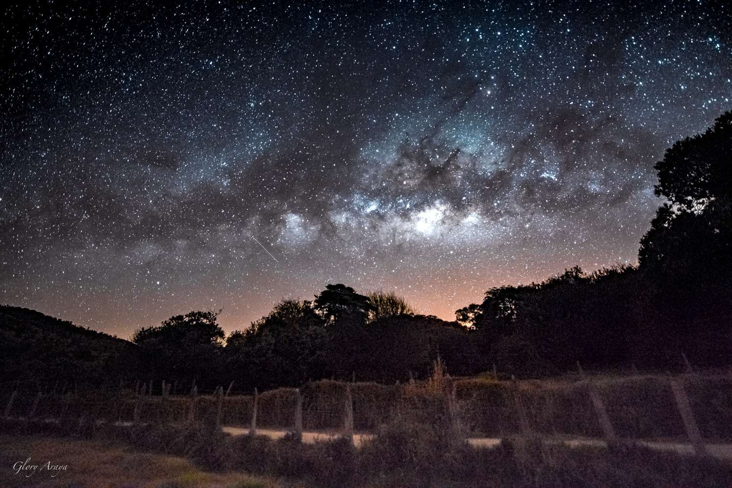 Nikon D810 sample photo. Milkyway photography