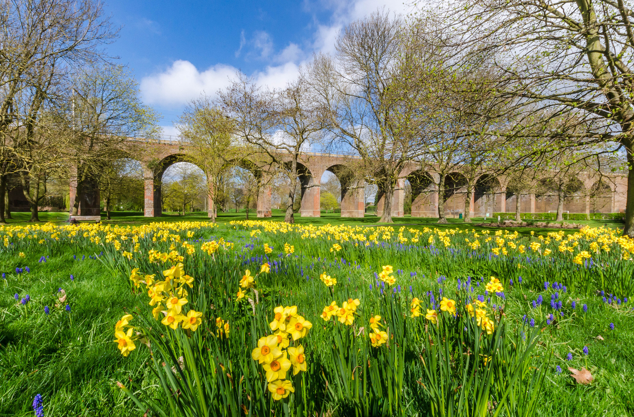 Nikon D7000 sample photo. Chelmsford viaduct photography