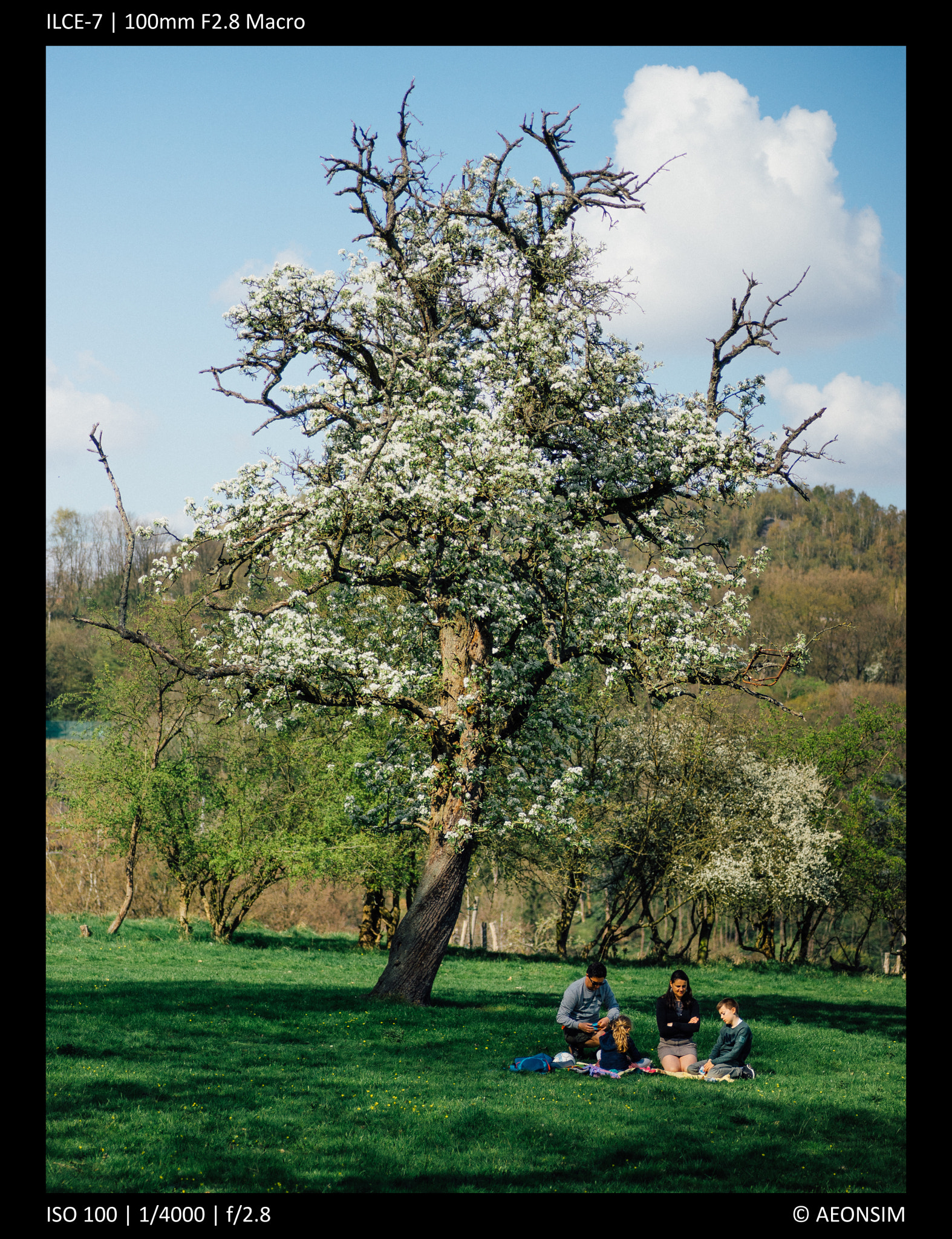 Sony a7 sample photo. Picnic photography