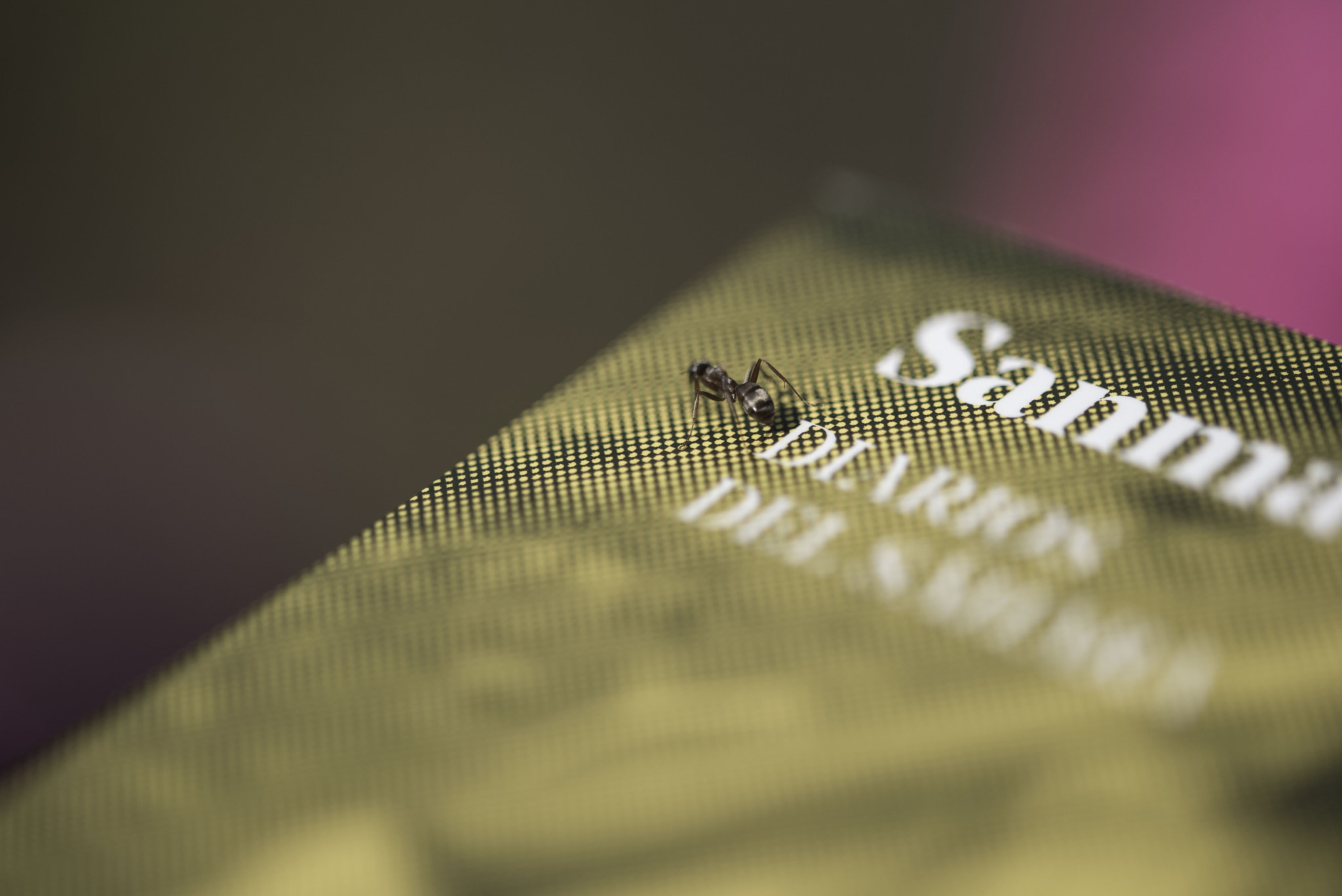 Sigma 105mm F2.8 EX DG OS HSM sample photo. Reading with a fellow photography