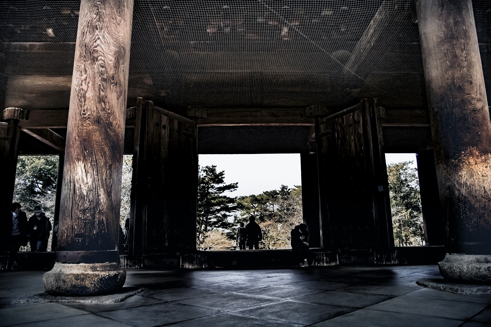 Canon EOS-1D X sample photo. 南禅寺 photography