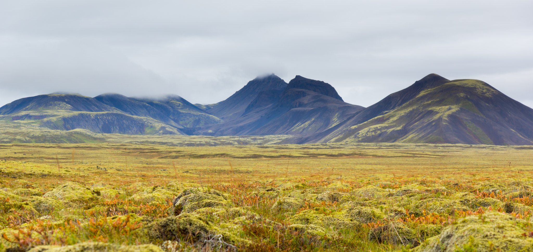 Sony SLT-A77 sample photo. Lava tundra photography