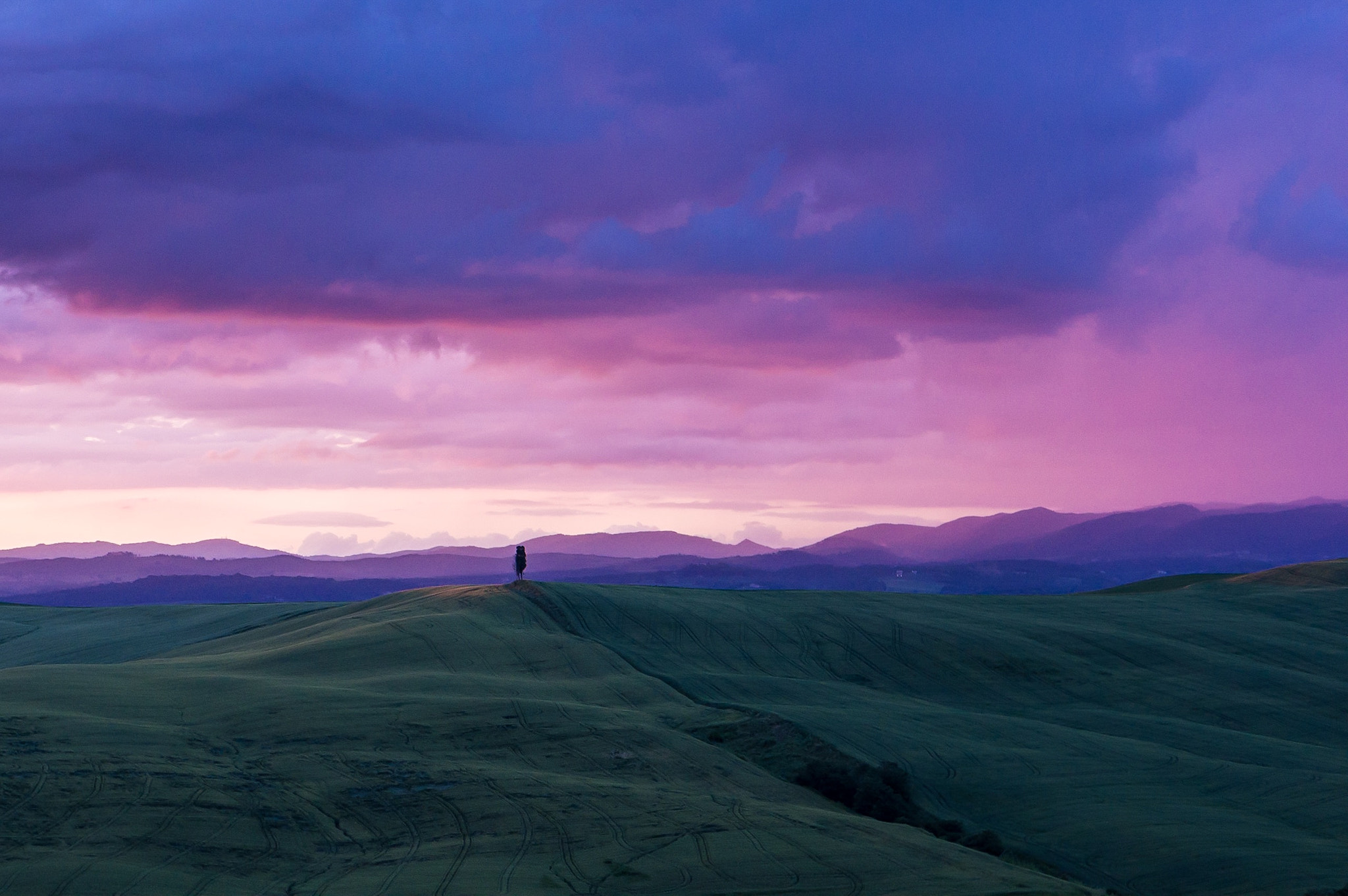 Sony Alpha NEX-6 sample photo. 2013.05 - tuscany, italy photography