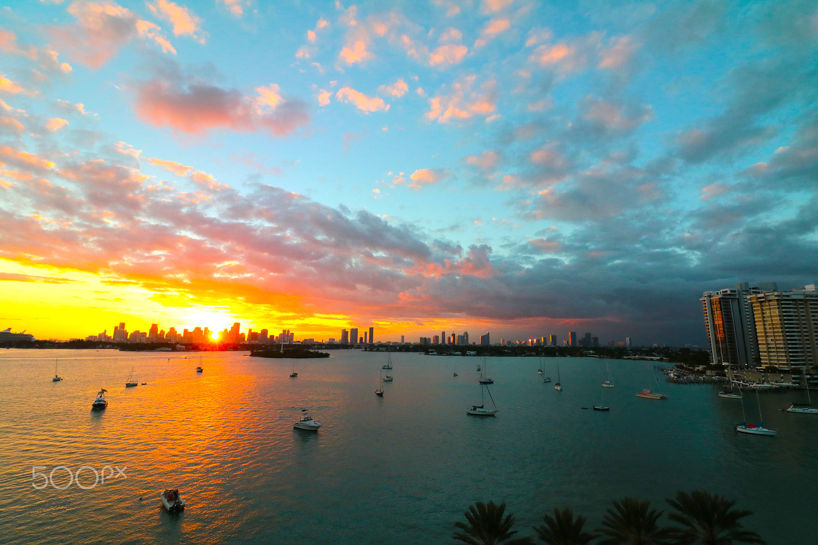 Canon EOS 750D (EOS Rebel T6i / EOS Kiss X8i) sample photo. Miami fotos ivan varela photography