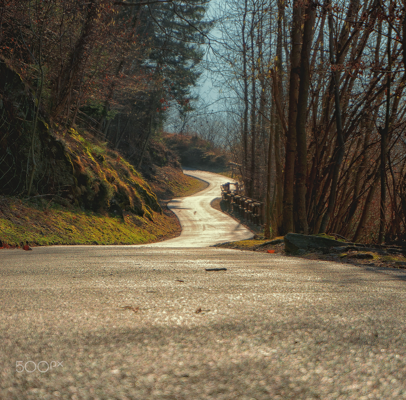 Sony Alpha NEX-6 sample photo. Asphalt snake photography