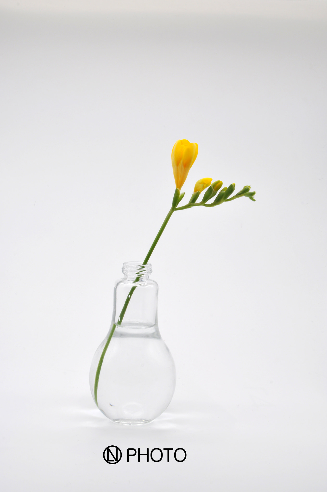 Nikon D90 sample photo. Flower photography
