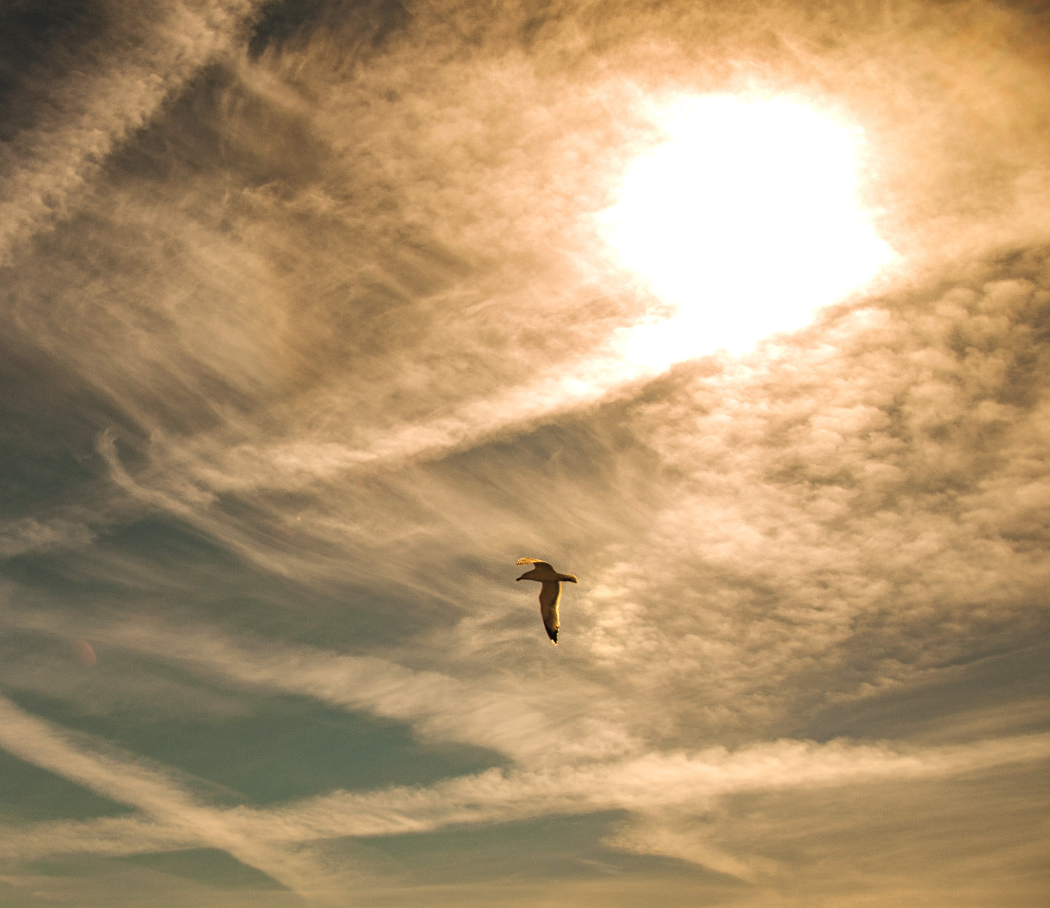 Nikon D90 sample photo. Cloud sky photography