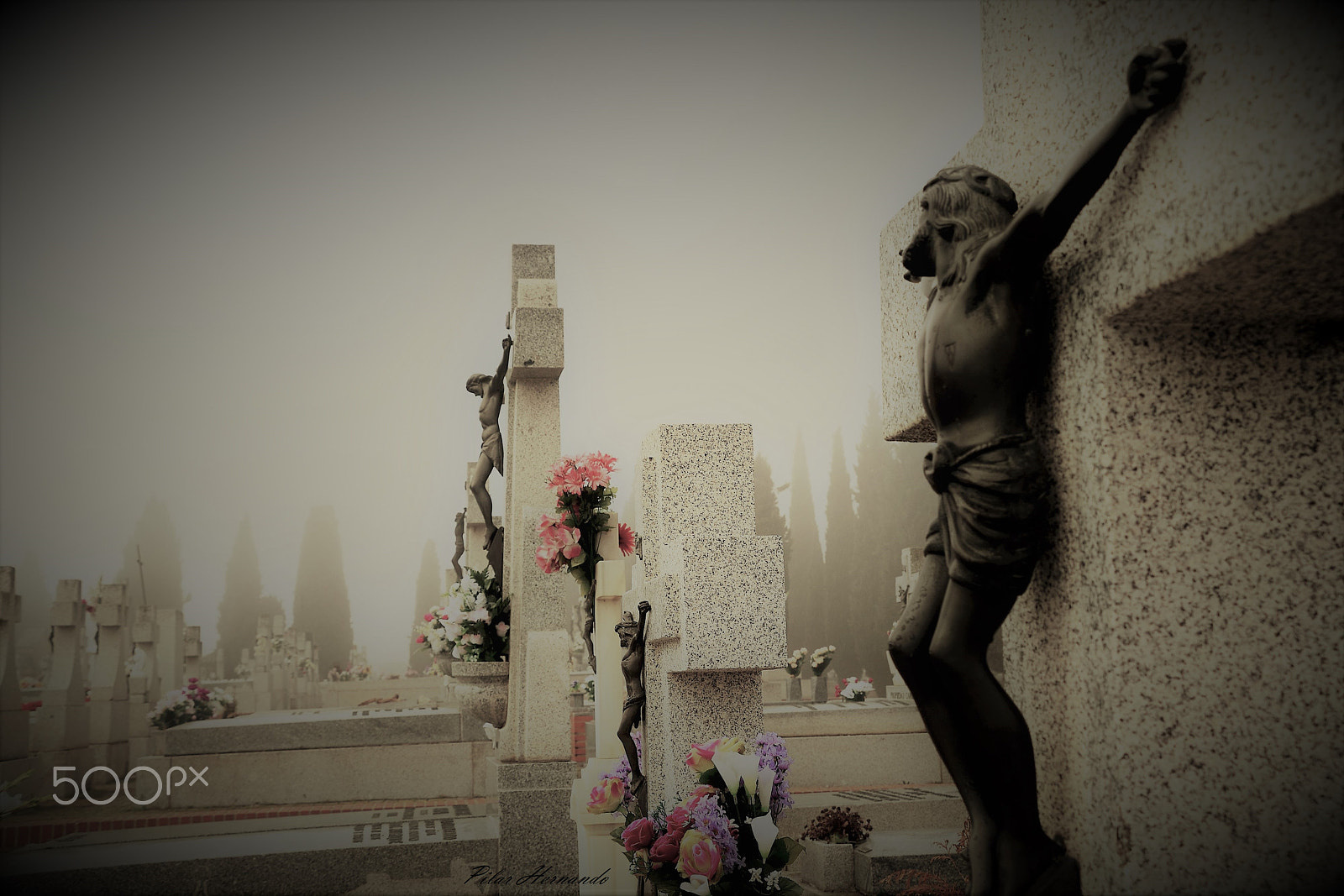 Nikon D5500 sample photo. Cementerio en la niebla photography