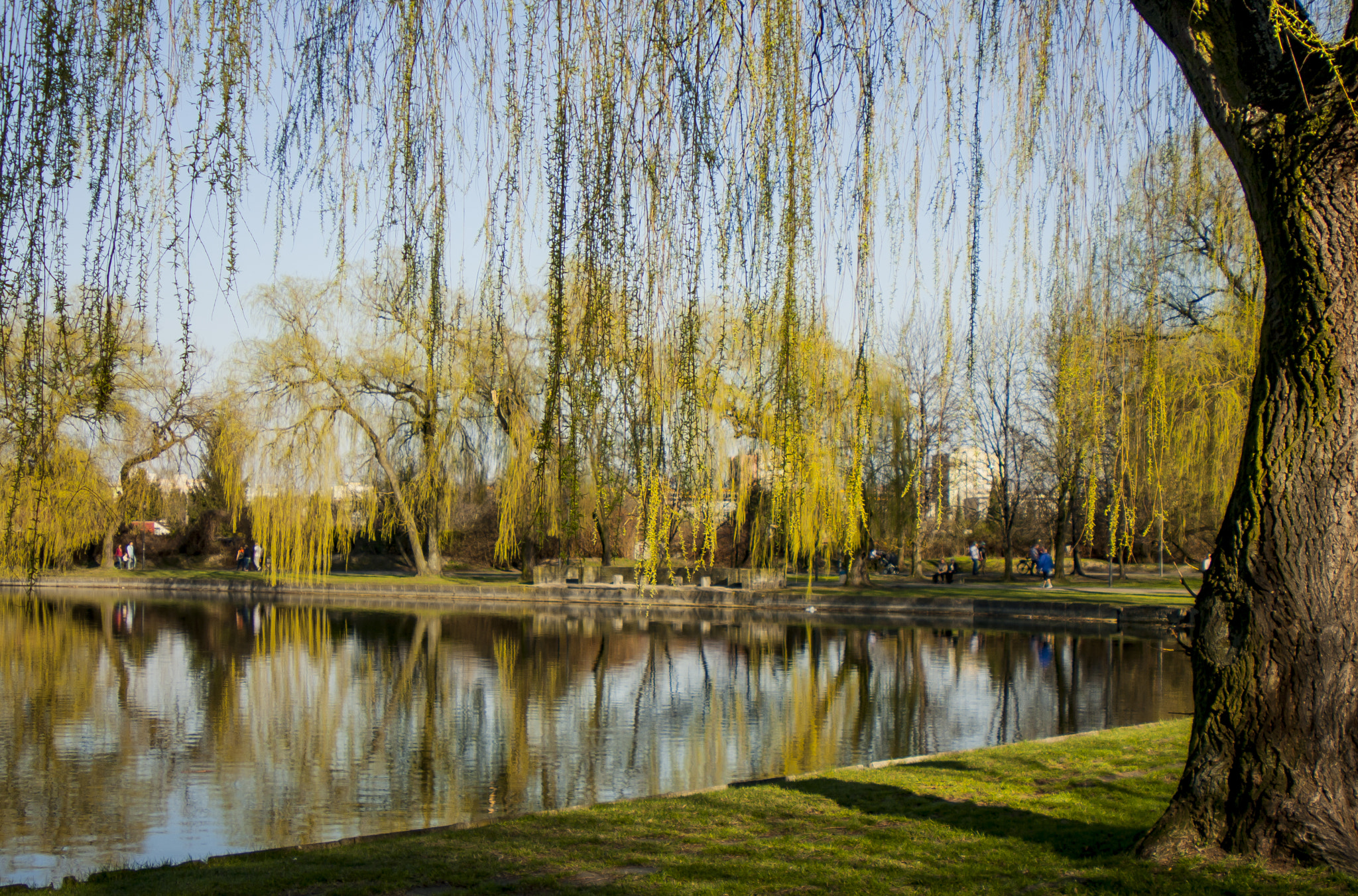 Canon EOS 40D + Canon EF-S 18-55mm F3.5-5.6 IS sample photo. Springtime photography