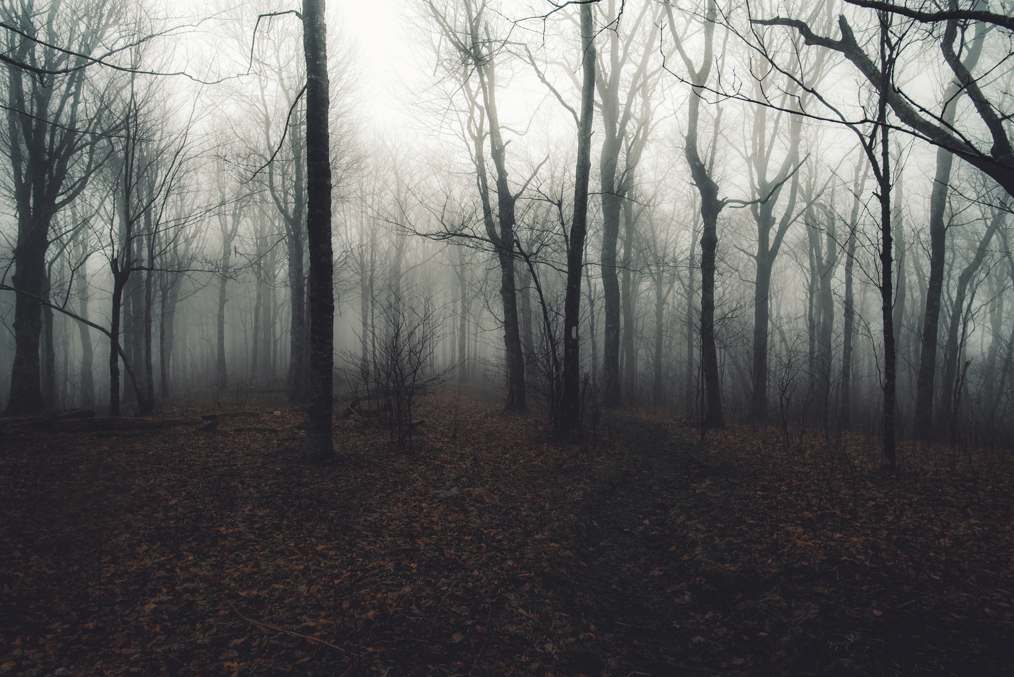 Nikon D750 + Nikon AF-S Nikkor 20mm F1.8G ED sample photo. Mystic valley photography