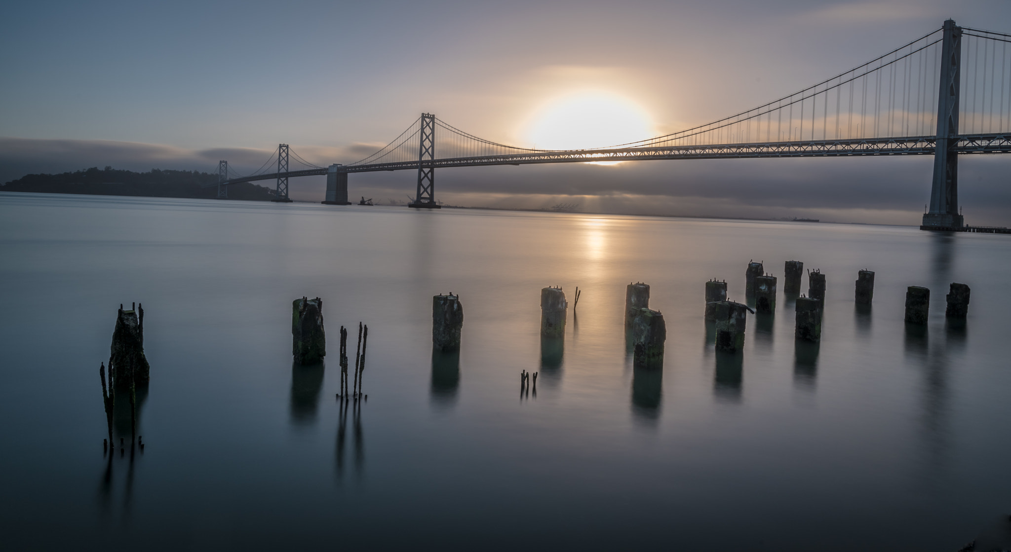 Nikon D750 + Nikon AF-S Nikkor 20mm F1.8G ED sample photo. Bay bridge photography