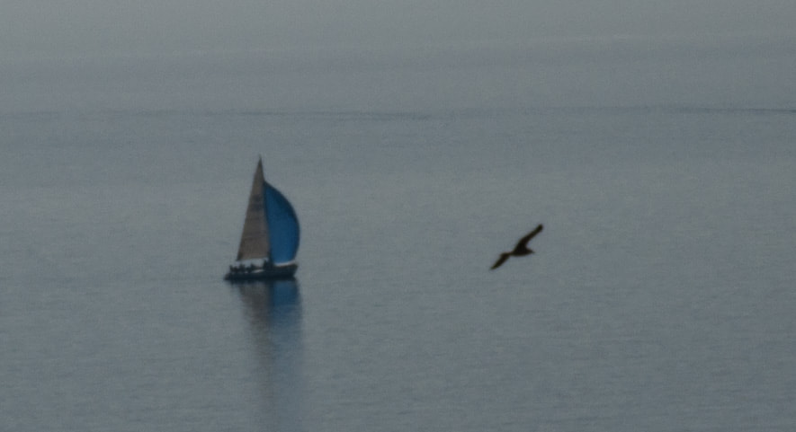 Nikon D90 sample photo. Solo boat photography