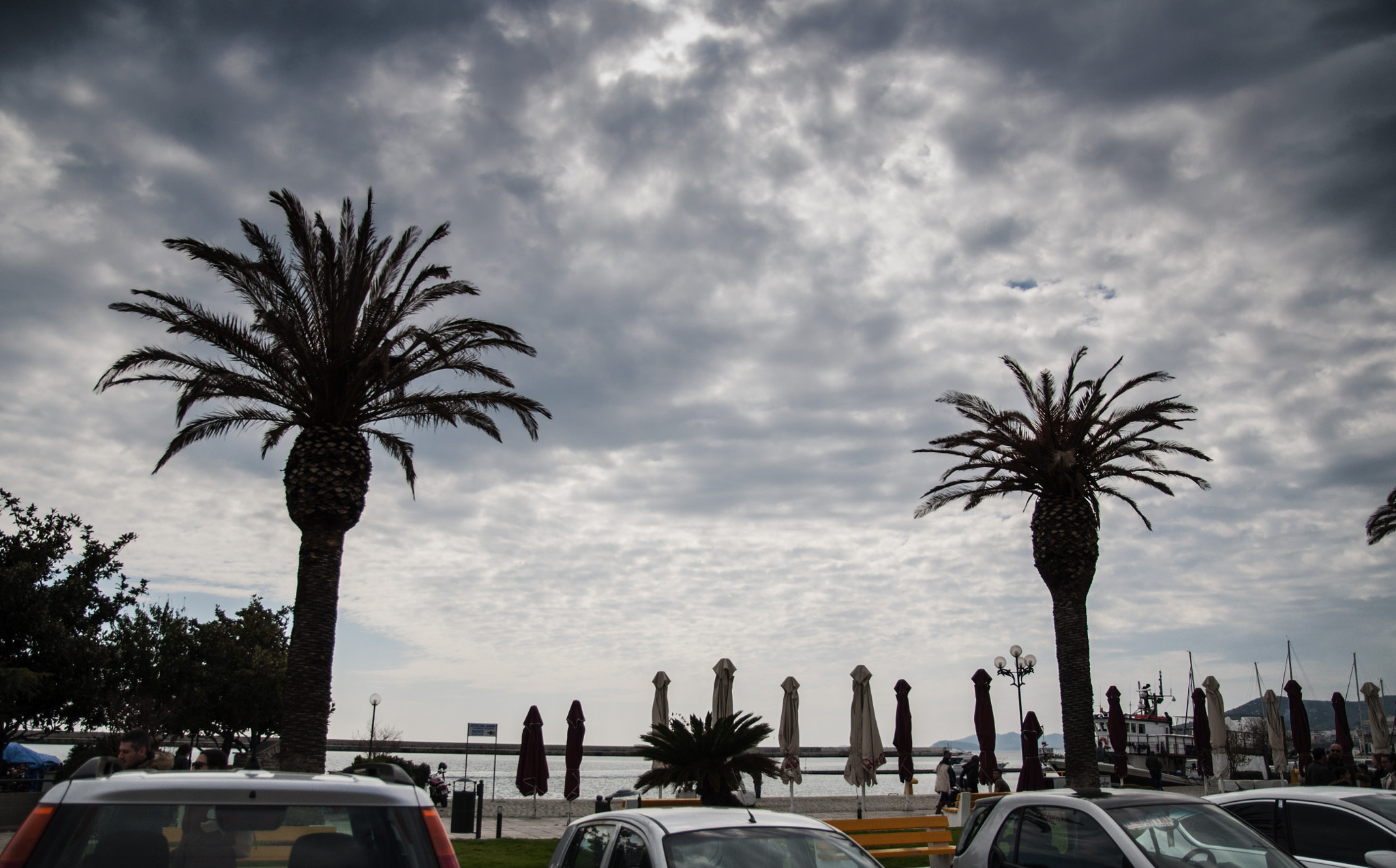 Nikon D90 sample photo. Twin palm trees photography