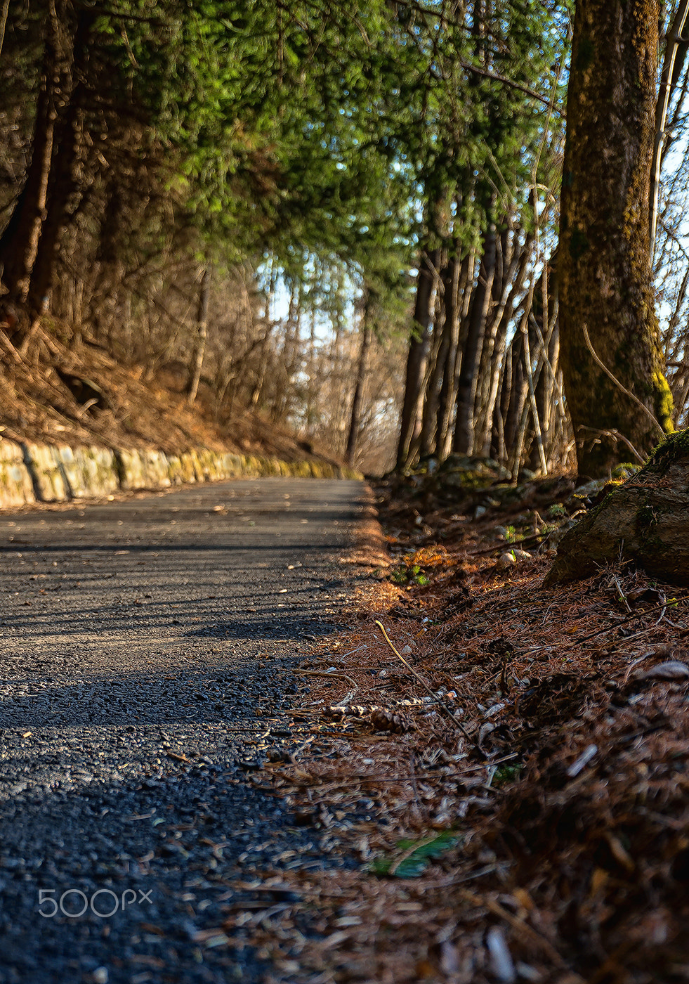 Sony Alpha NEX-6 sample photo. La pace, il silenzio, la natura photography