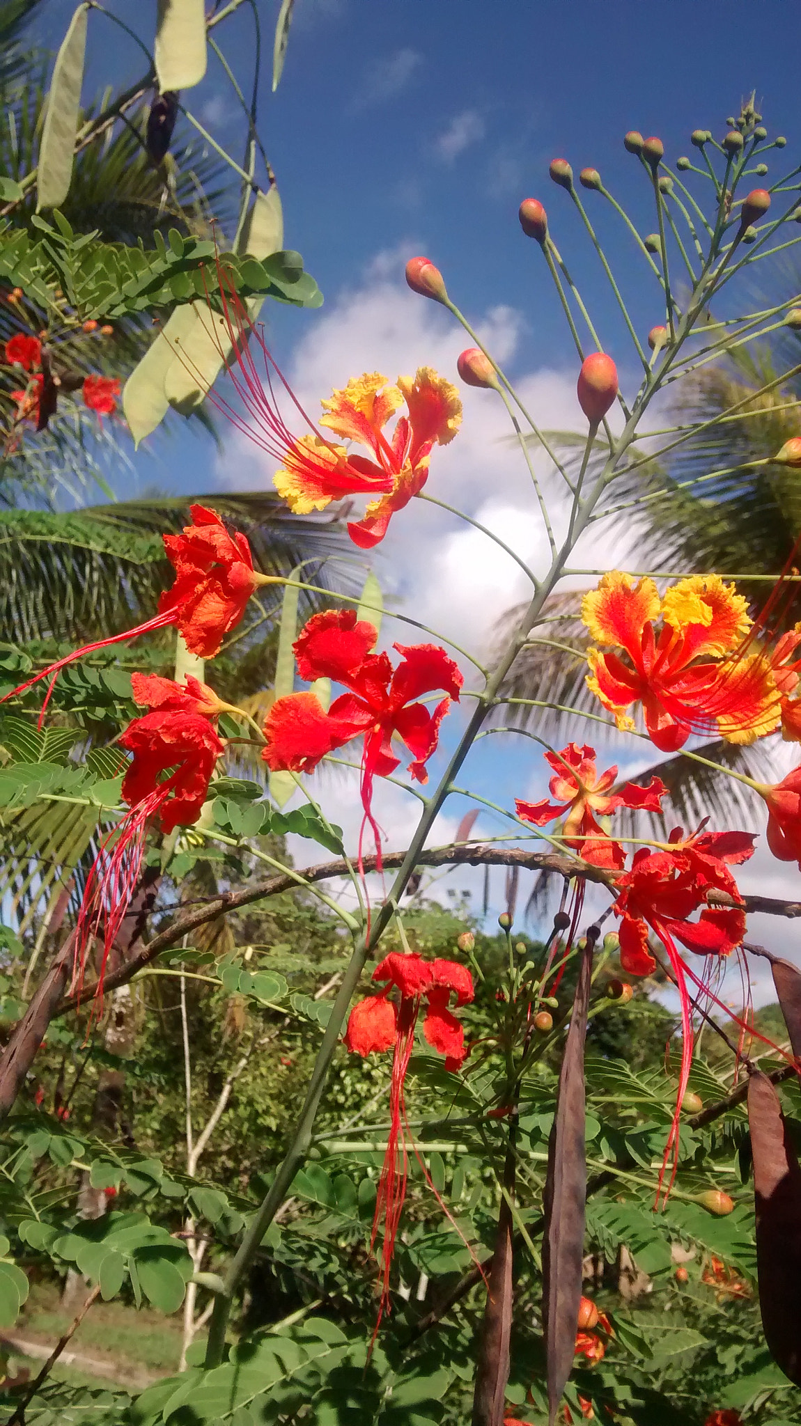 Motorola Moto G (1st Gen) sample photo