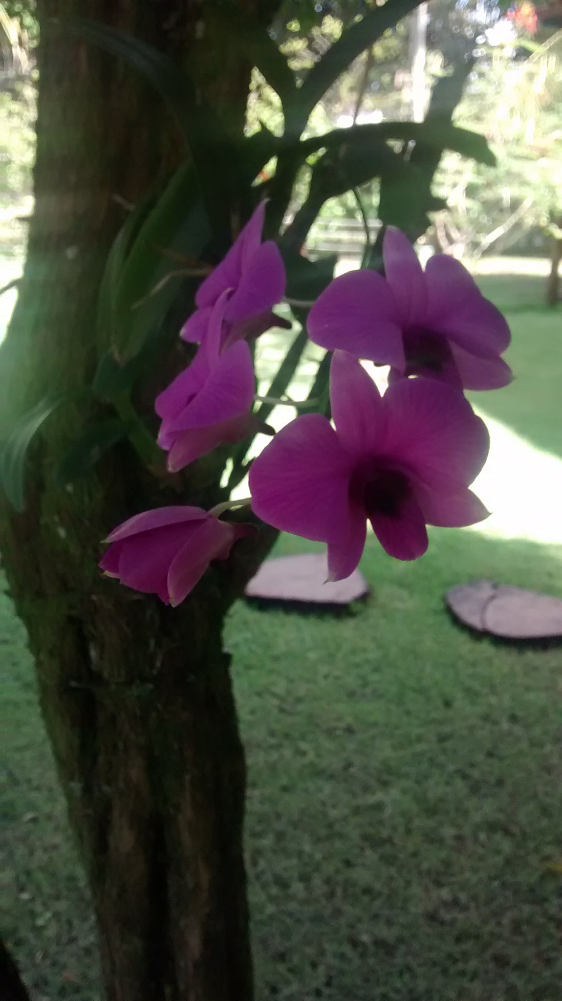 Motorola Moto G (1st Gen) sample photo