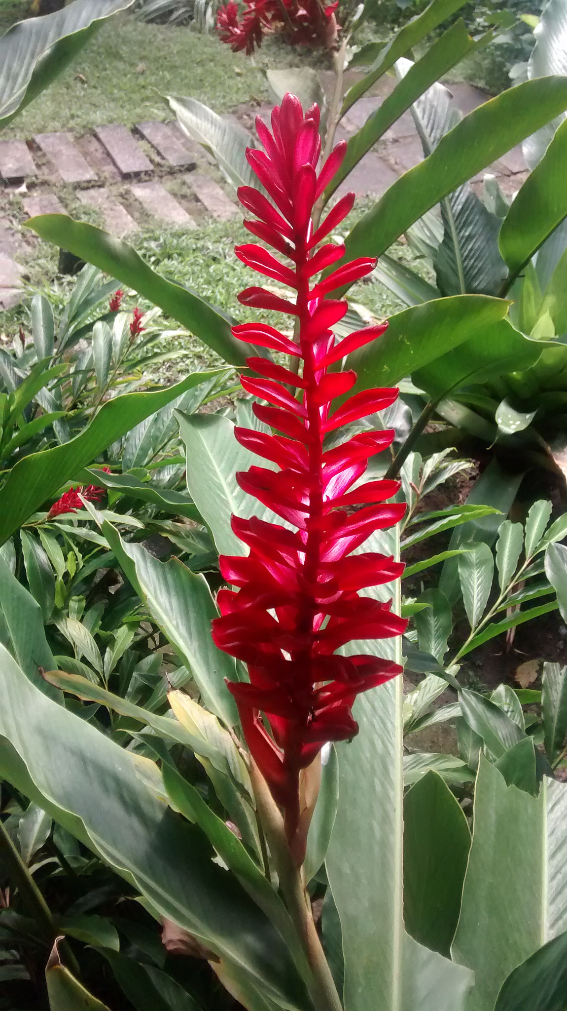 Motorola Moto G (1st Gen) sample photo